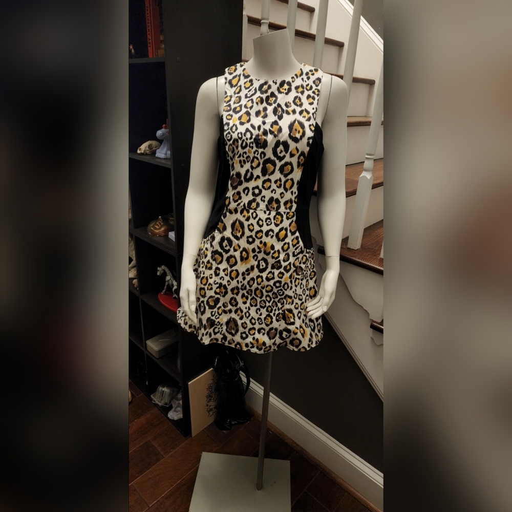 Line and Dot dress